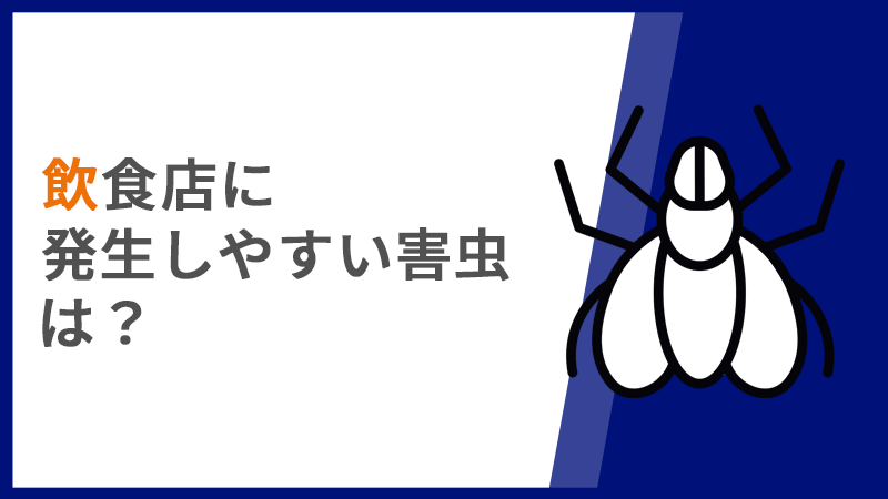飲食店に発生しやすい害虫は？